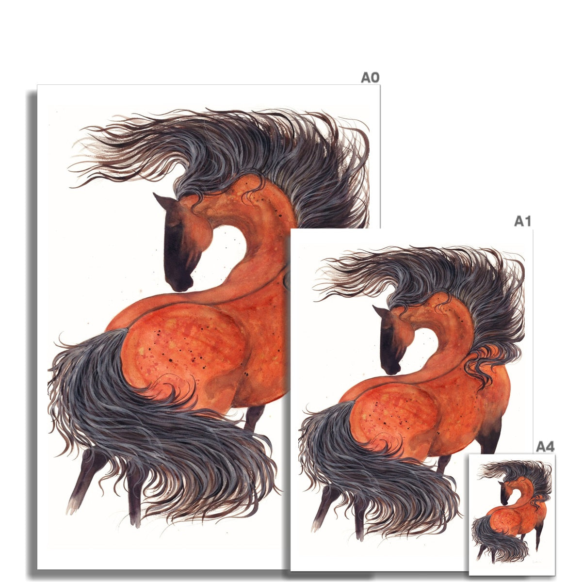 The Wild Bay Fine Art Open Edition