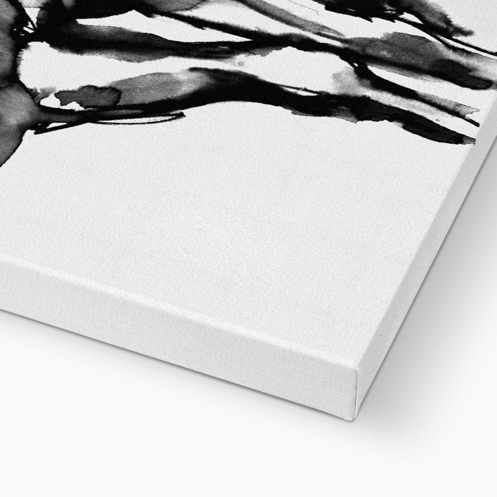 Solace Canvas
