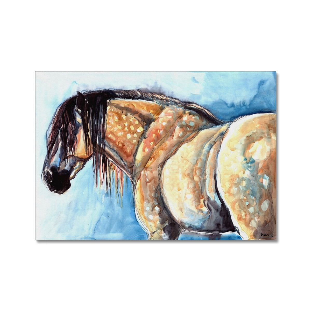 Pallido Canvas
