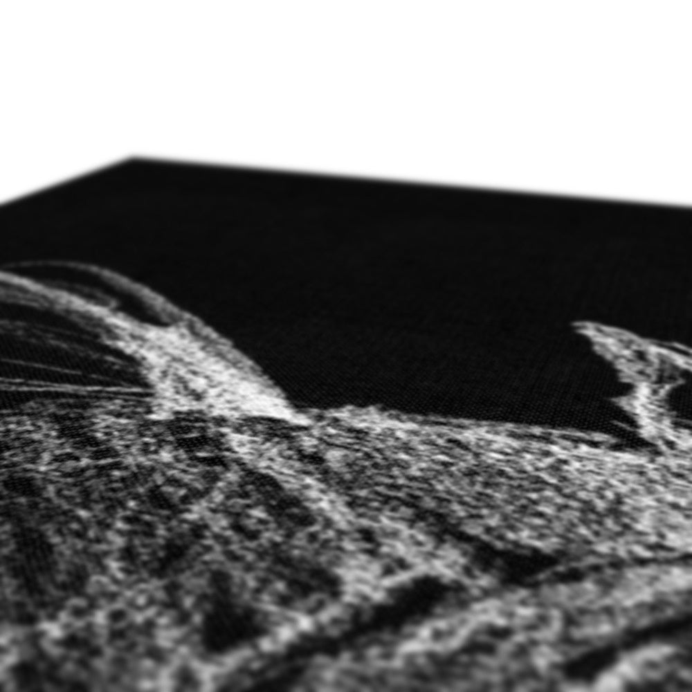 Eidolon Canvas