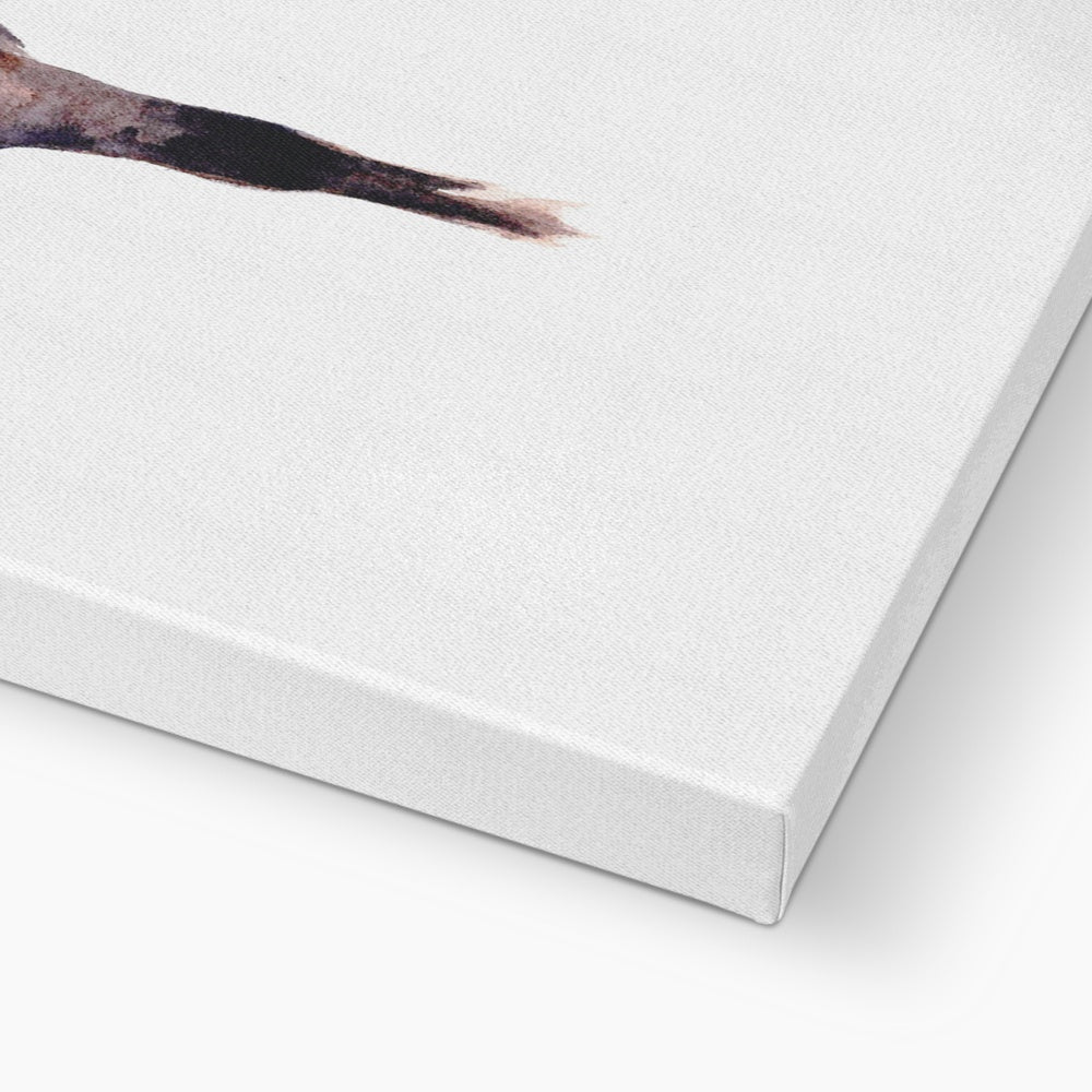 Buckskin & Wild Bay Canvas