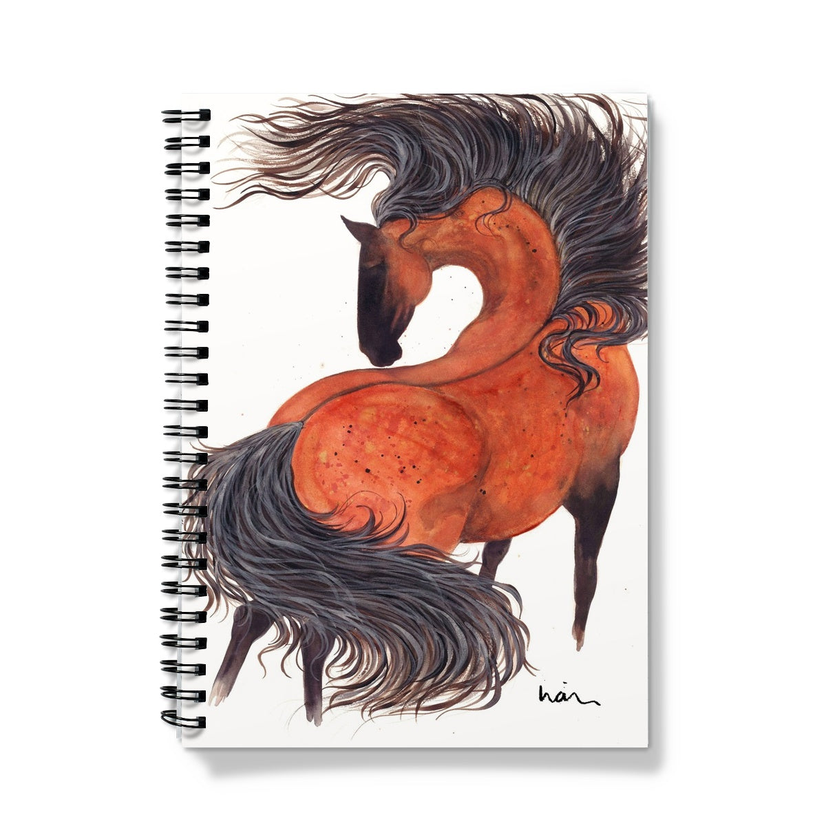 The Wild Bay Notebook