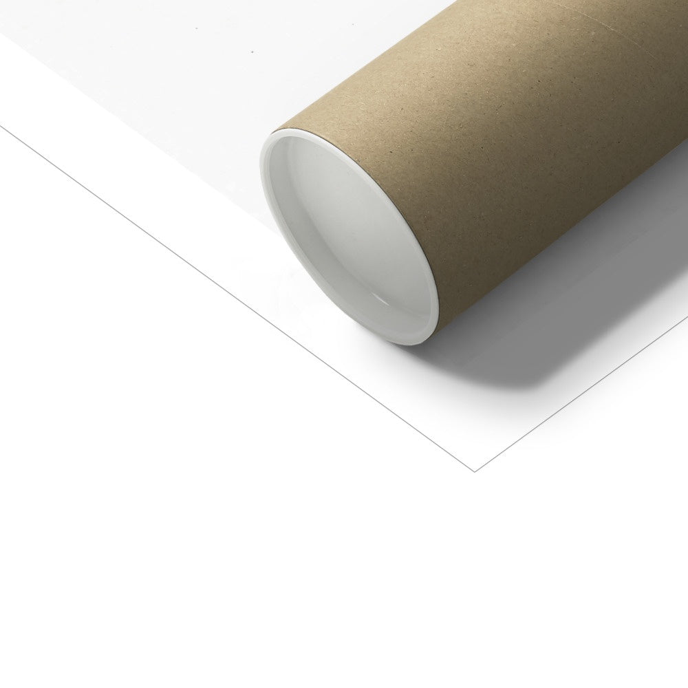 Dippy Art Print