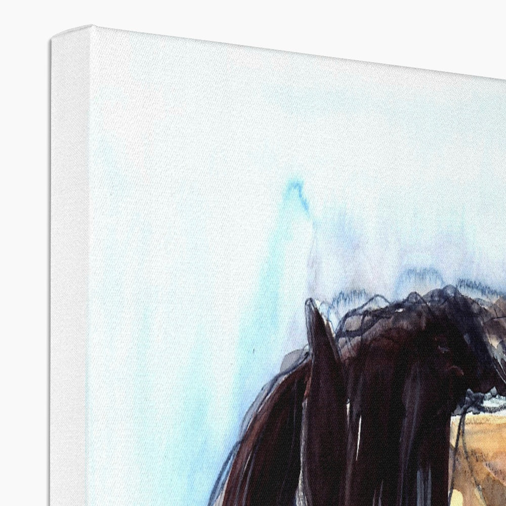 Pallido Canvas