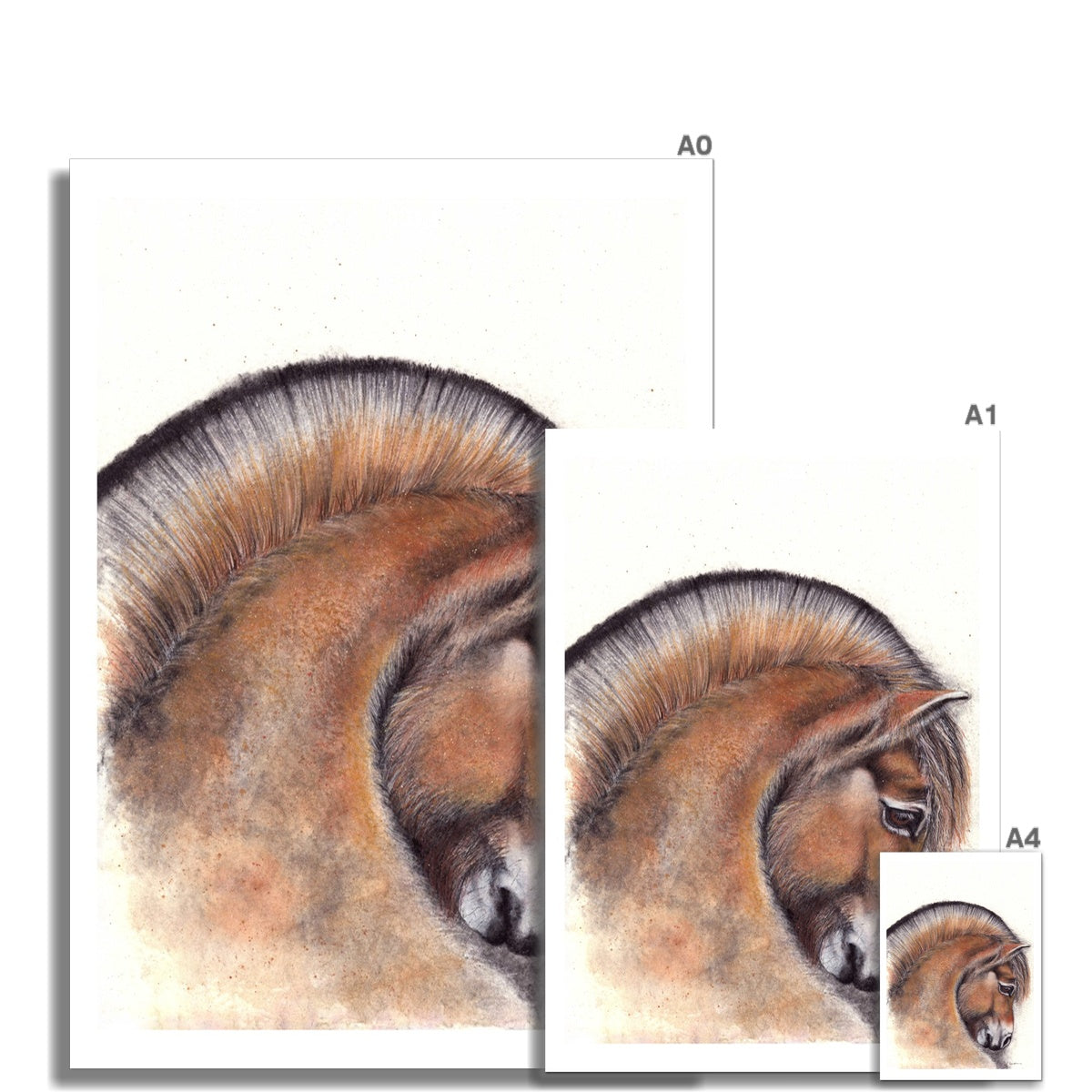 Jack Fine Art Open Edition