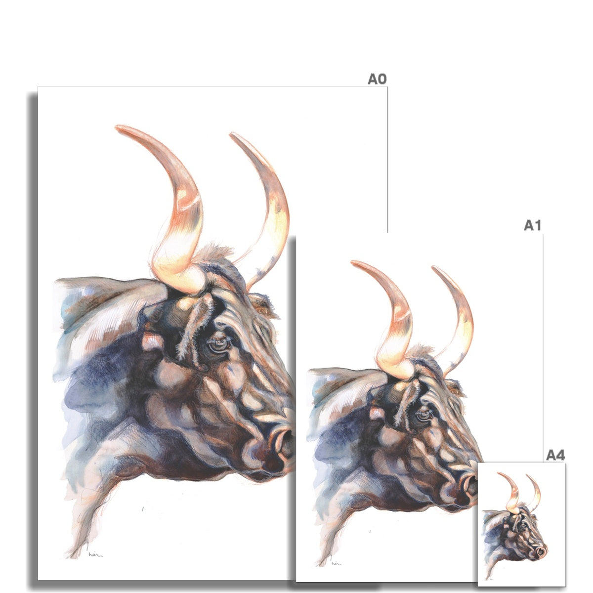 Longhorn Art Print