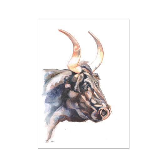 Longhorn Art Print