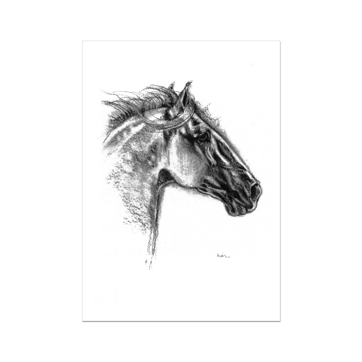 Galileo | Horse Art Print | Lian Meaney Freehand Artist