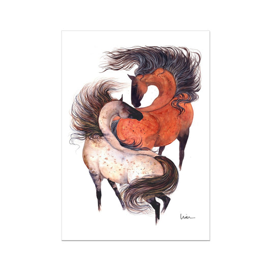 Buckskin & Wild Bay Art Print