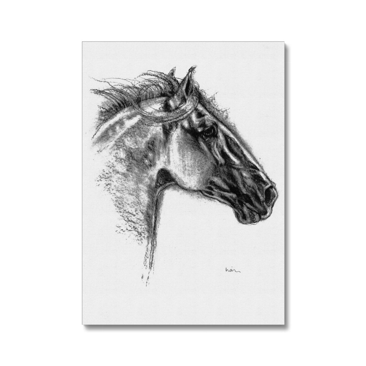 Galileo | Horse Canvas Art | Lian Meaney Freehand Artist