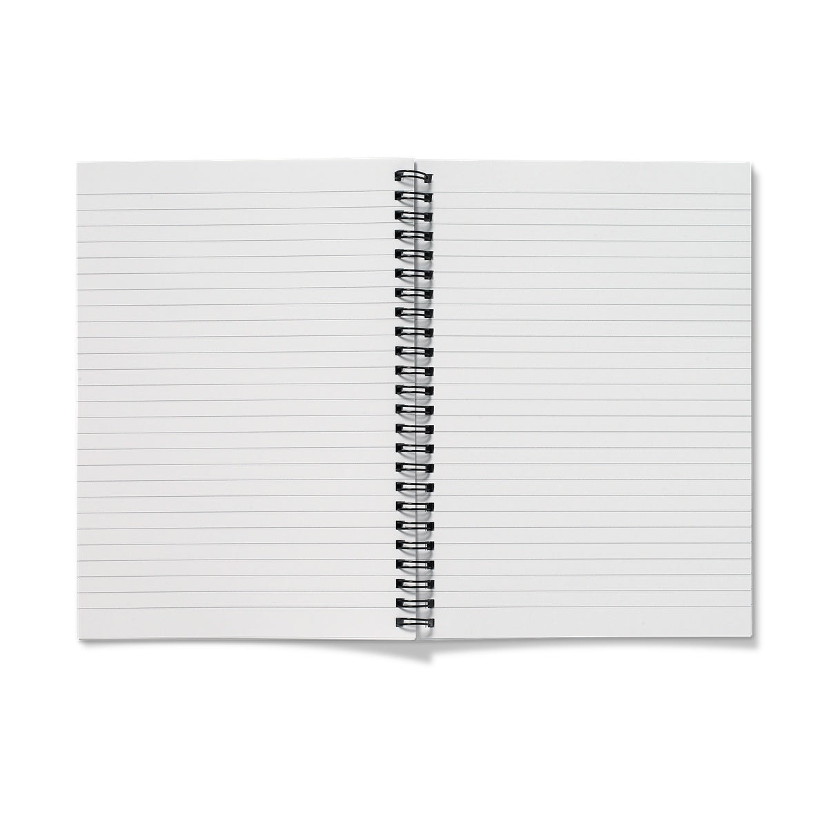 Phoenician Mare Notebook