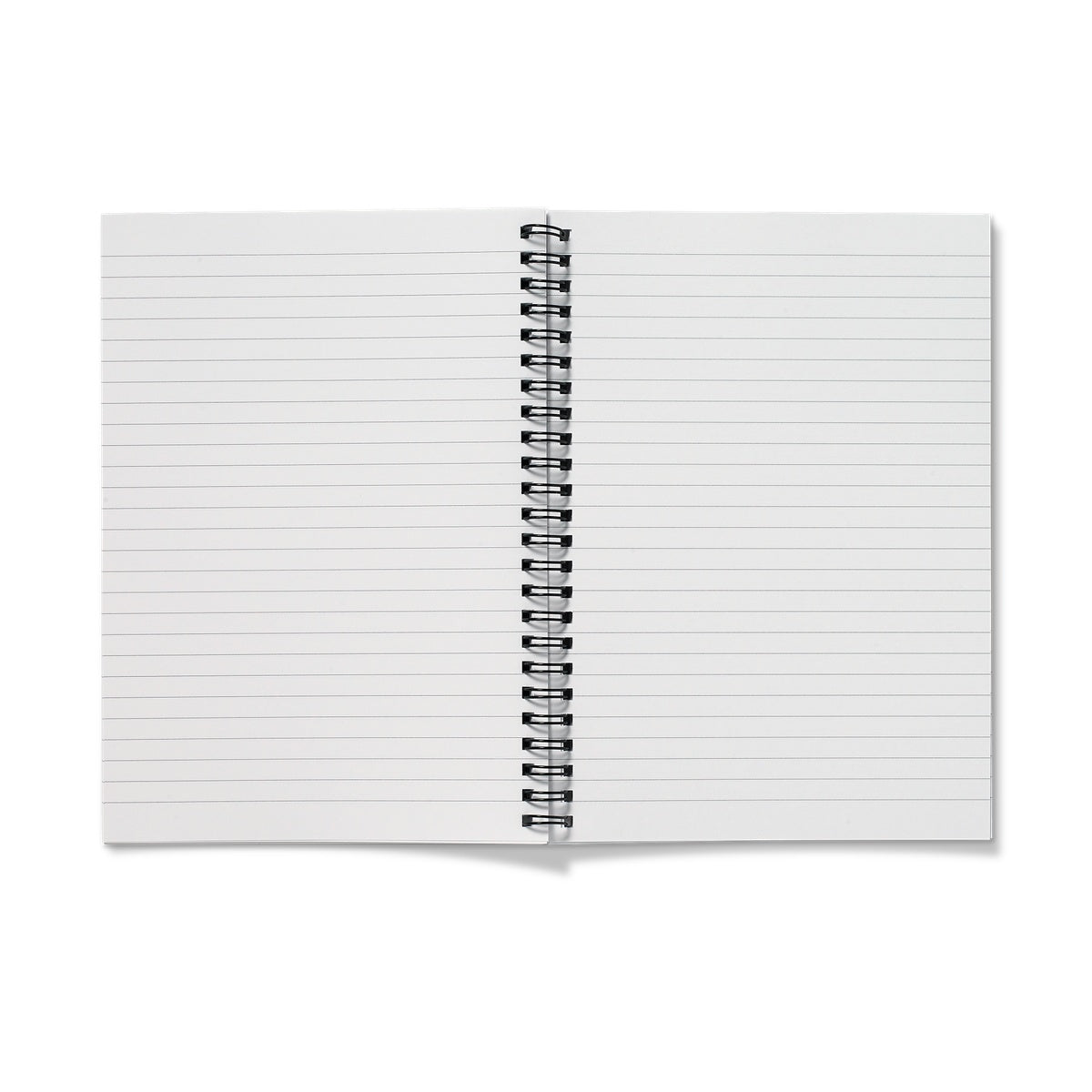 Tasman Notebook