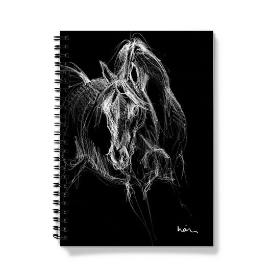 Eidolon Notebook